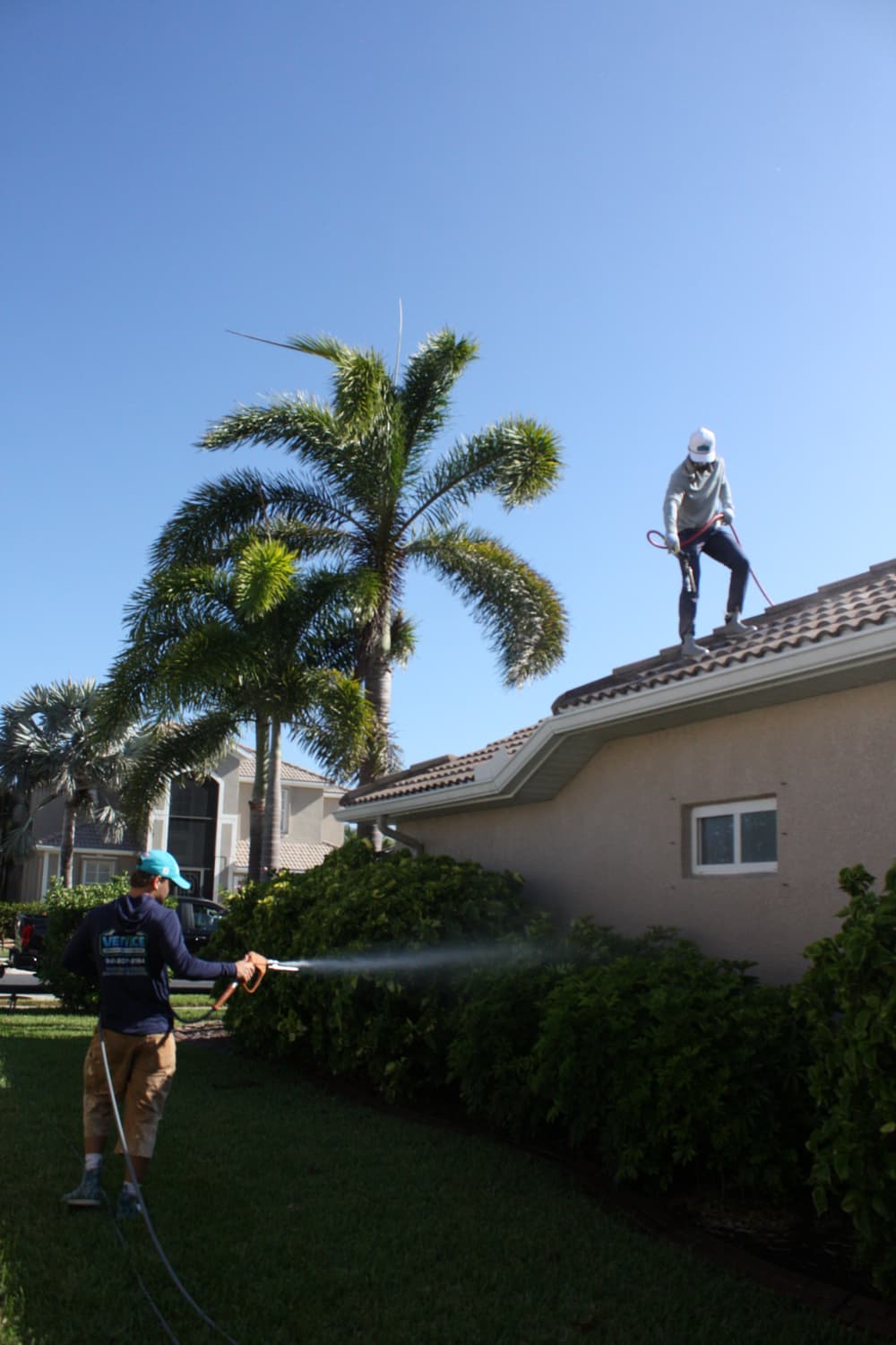 Roof Washing image