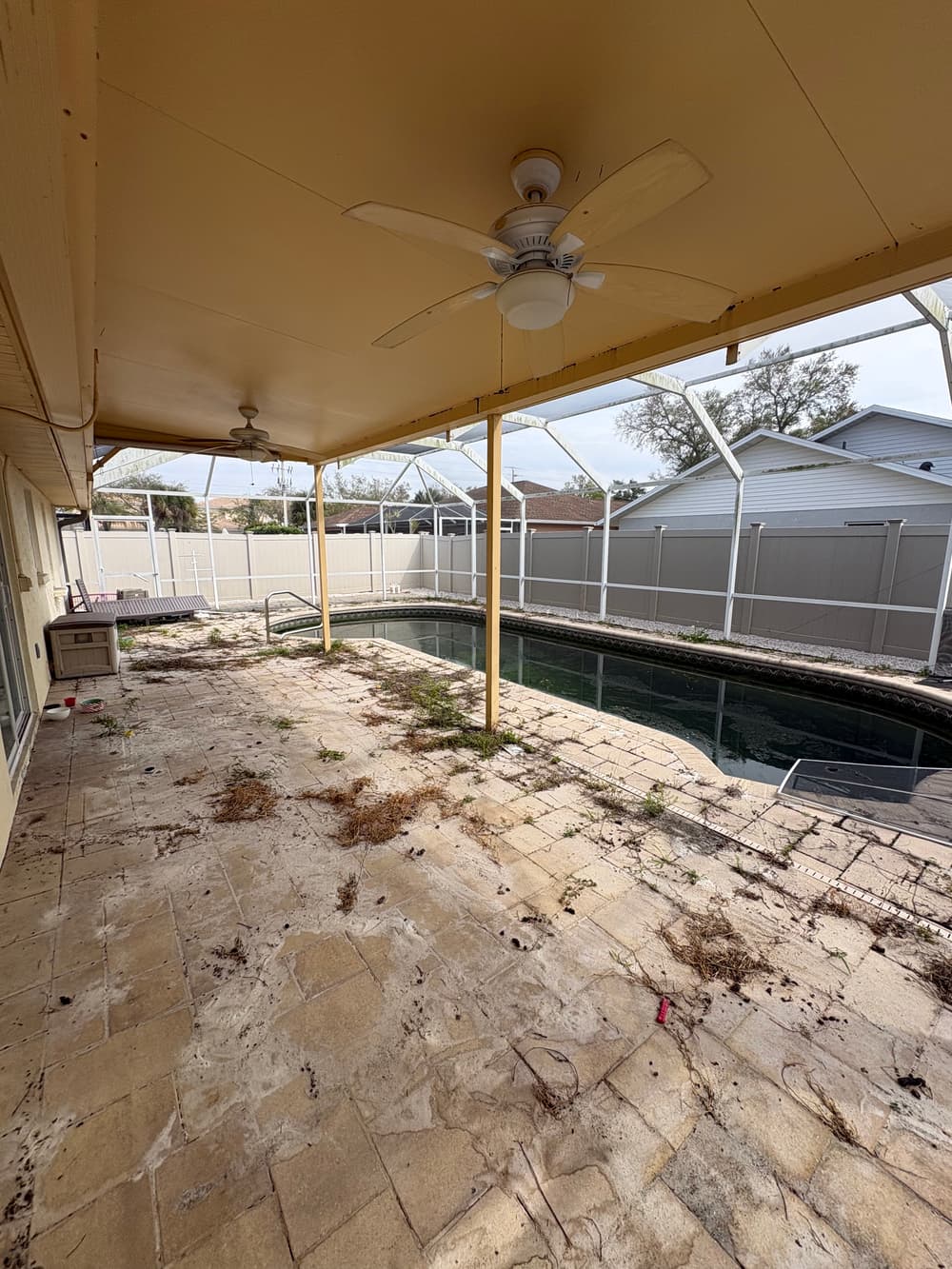 Heavily overgrown paver patio with weeds throughout the joints before restoration in Venice, Florida.